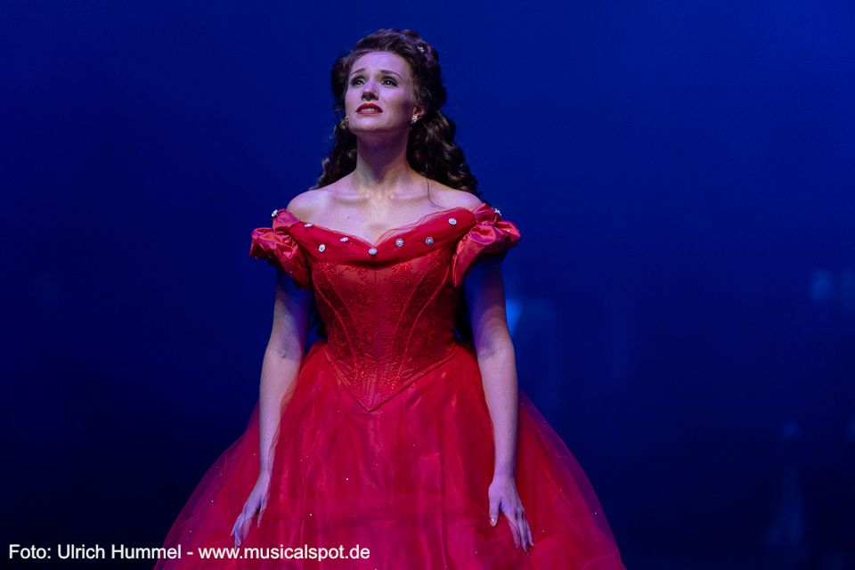 Auch Kaiserin Elisabeth war der Ansicht, dass König Ludwig in den Tod getrieben wurde und hat dies in Gedichten überraschend deutlich formuliert. Die Ludwig-Gedichte sind Teil ihres literarischen Nachlasses, der unter dem Titel 'Das poetische Tagebuch' von der Historikerin Brigitte Hamann herausgegeben wurde. ludwig musical fuessen 2018 244