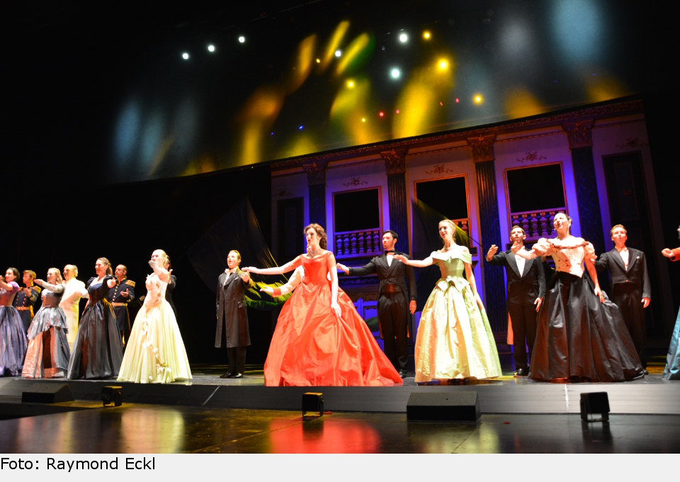 Das Krönungsfest ist in vollem Gange. ludwig 11